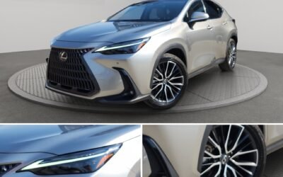 LEXUS NX350h VERSION L